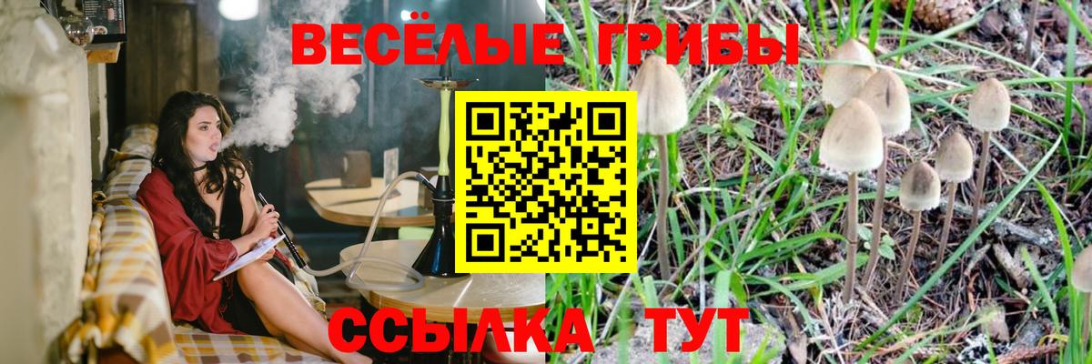 Галлюциногенные грибы Cubensis Коммунар