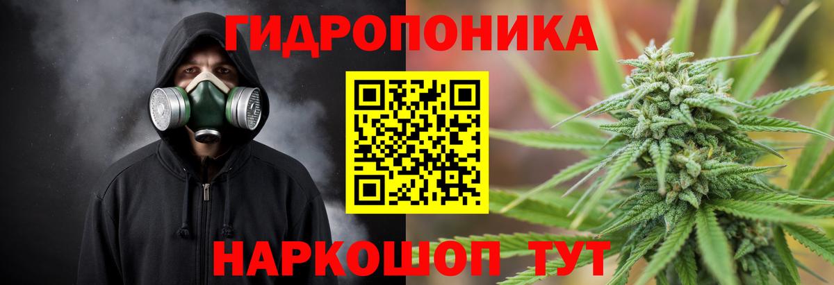 Конопля гибрид Коммунар